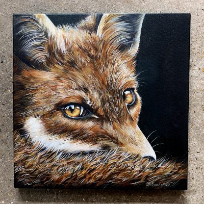 Fox - Print on Stretched Canvas