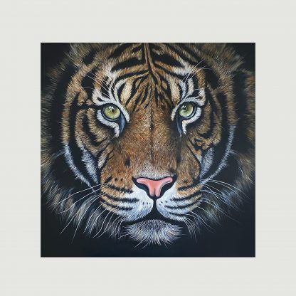 Tiger - Print on Artist Paper
