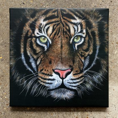 Tiger - Print on Stretched Canvas