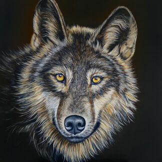 Wolf - Print on Stretched Canvas
